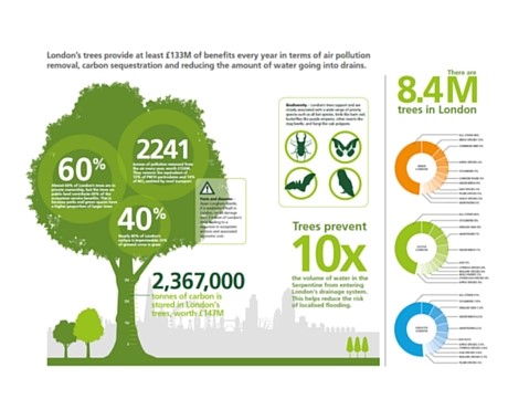 Valuing London’s Urban Forest