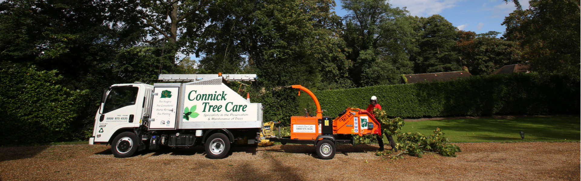 A member of the Connick Tree Care team working