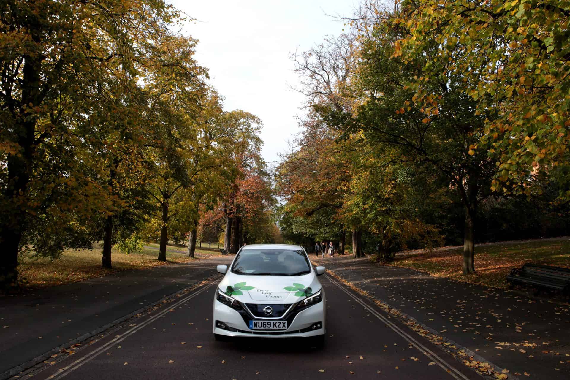 Connick Tree Care car