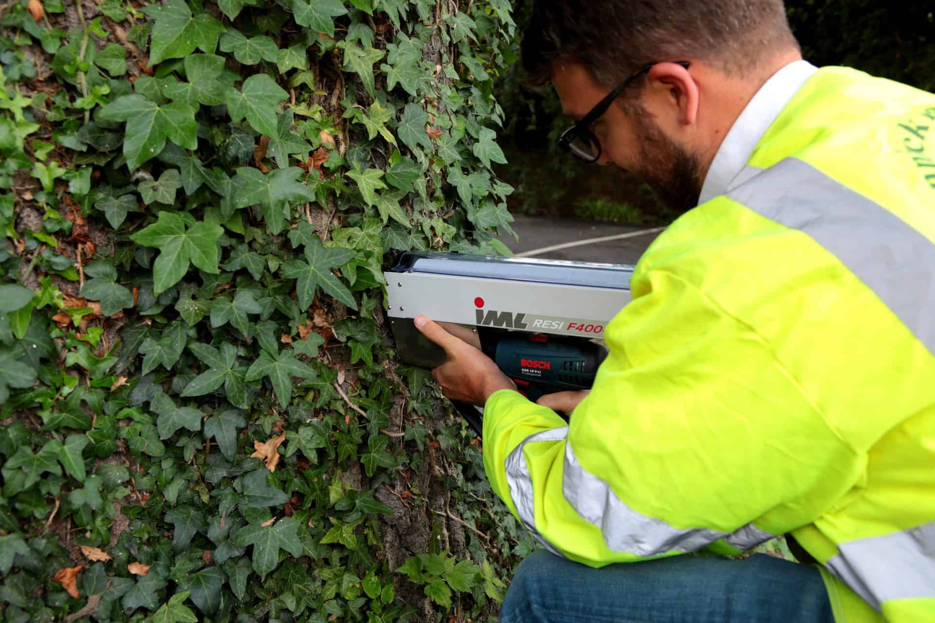 A member of the Connick Tree Care team working