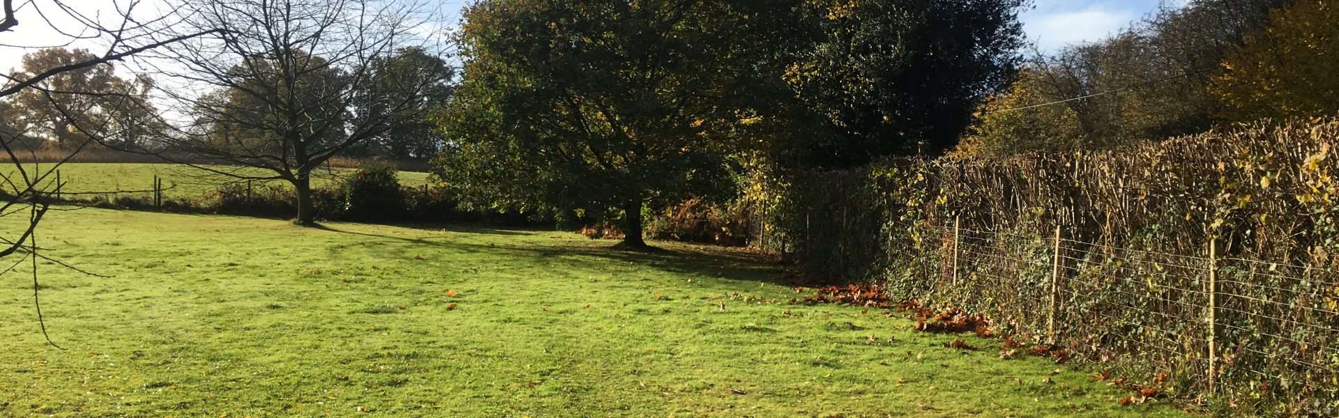 Issue tree examples mckinsey picture