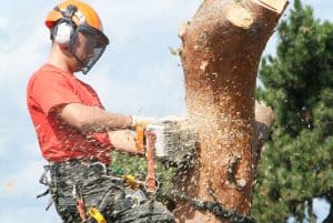 a member of staff using a chain saw