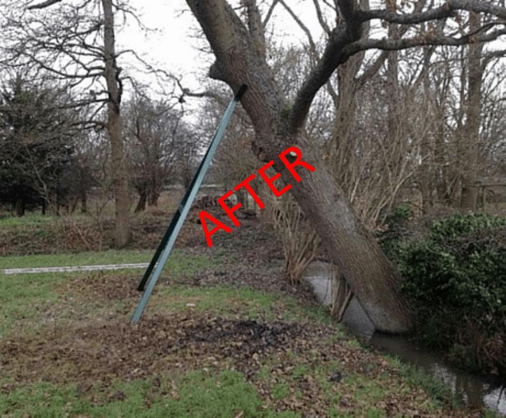 Custom built frame supports leaning tree Connick Tree Care