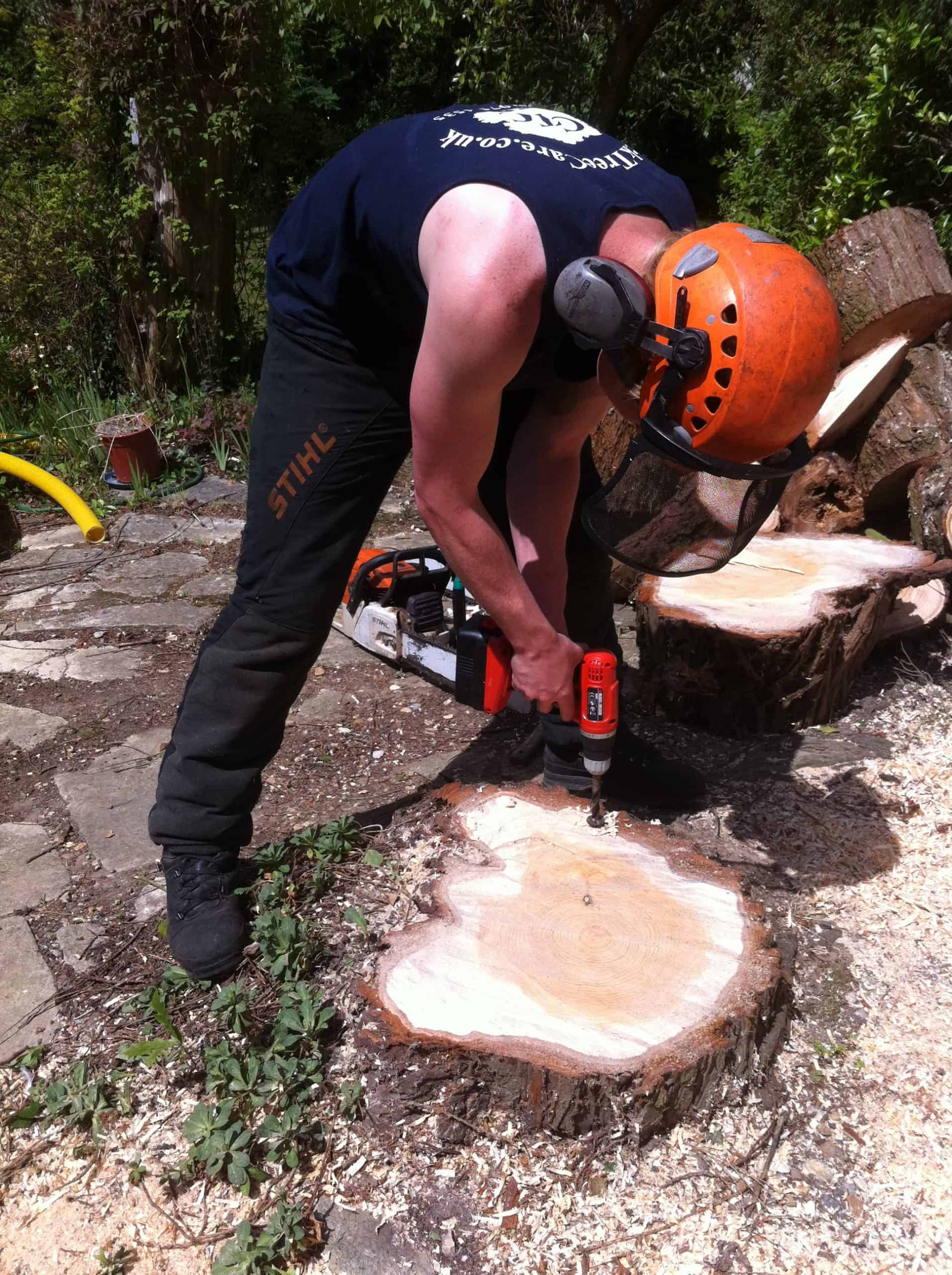 A member of the Connick Tree Care team working