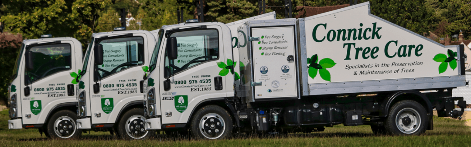 Facilities Management Companies Connick Tree Care