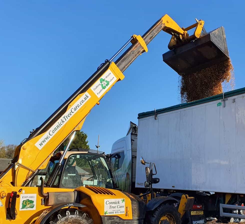 Wood chip goes to biomass fuel stations