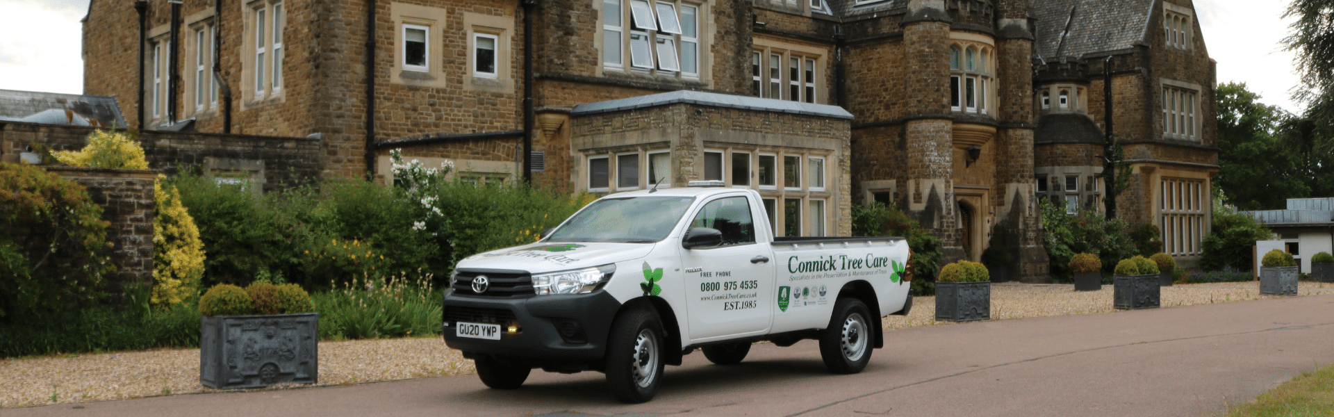 Tree surgeon in Berkshire