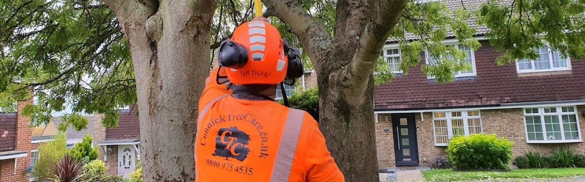 Arborist pruning tree at Housing Association