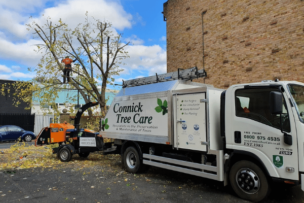 Fuelling the NHS. We prune-trees producing branches and logs