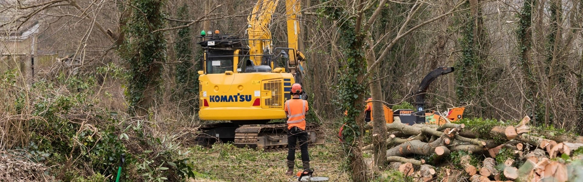 Preserving wildlife among the dying ash for Brighton and Hove City Council