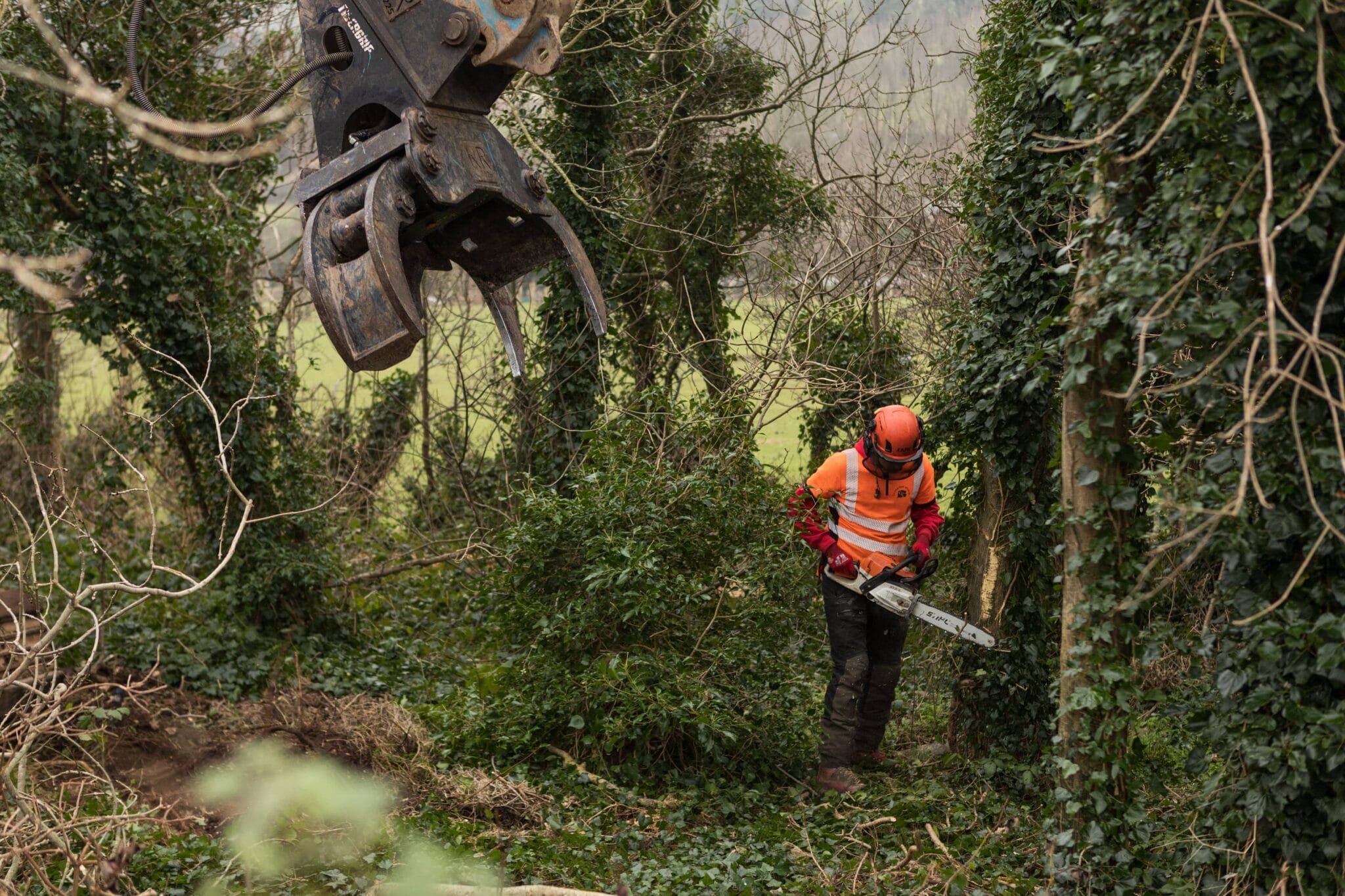 Where we couldn’t take the machine, felling was carried out by hand