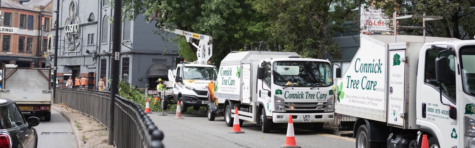 Complex traffic management and tree reduction for Surrey County Council