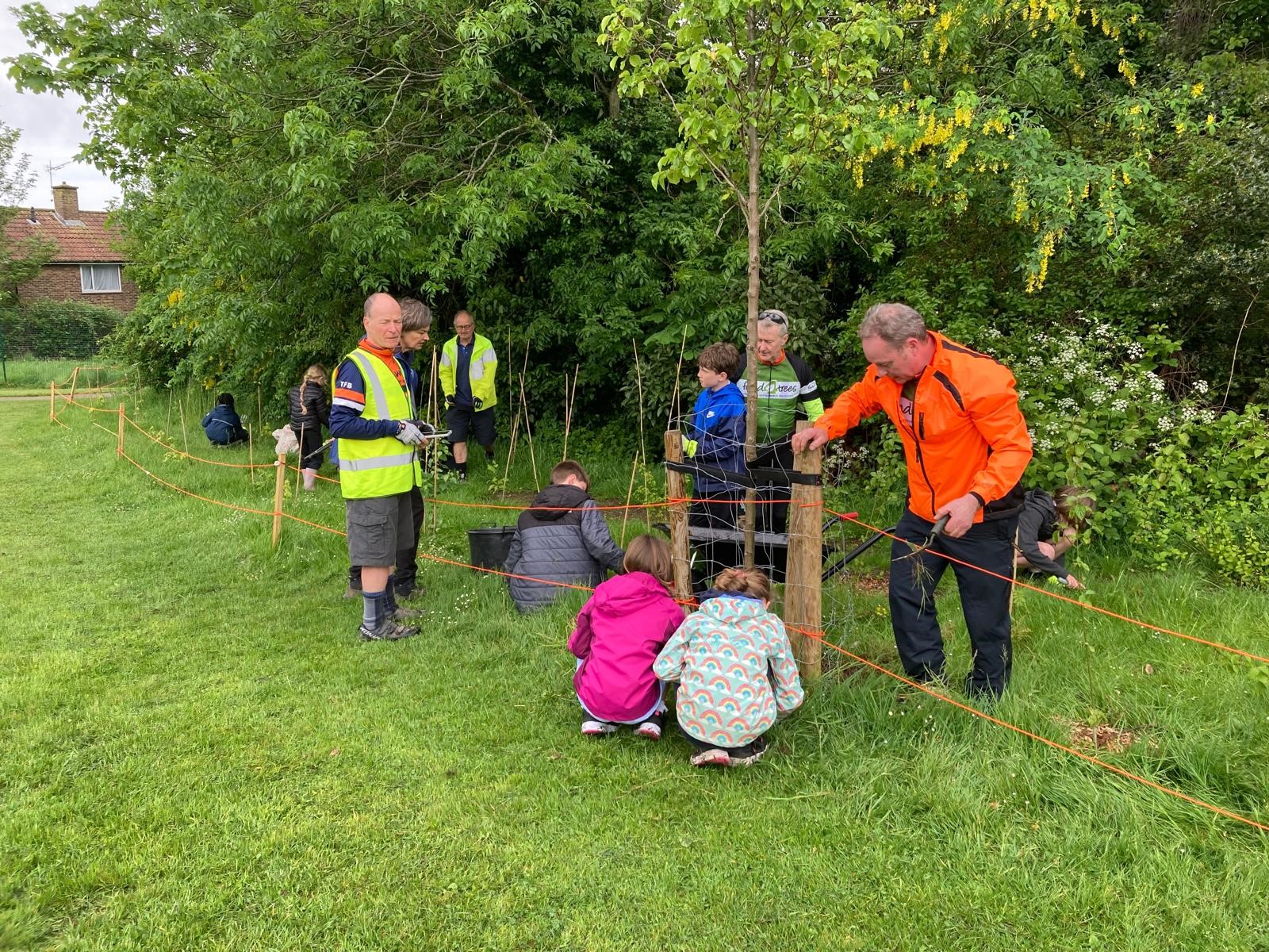 Young tree maintenance (YTM) workshops 2