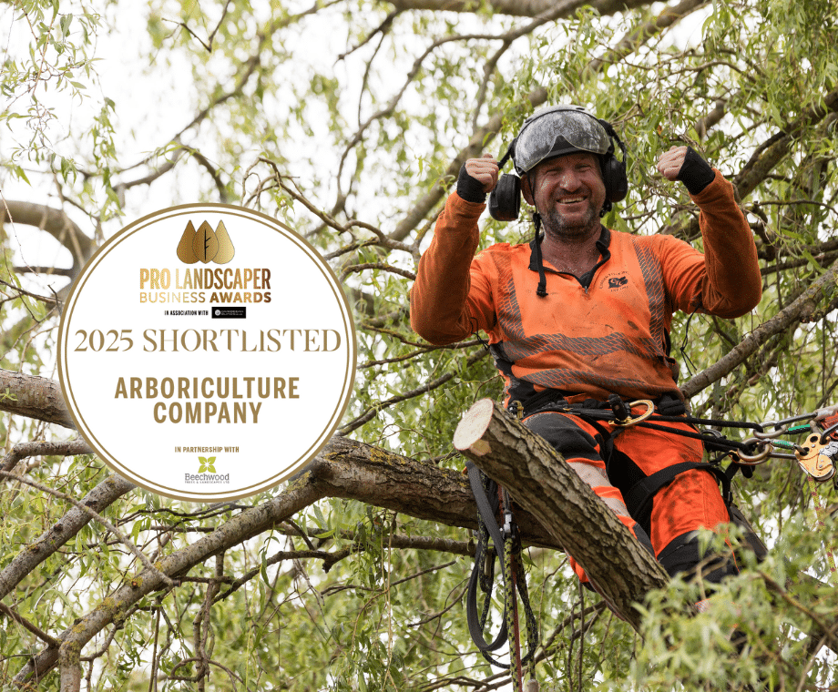 Lee high in the branches of a tree with thumbs up. Overset with Finalist Logo for Pro Arb Business awards.