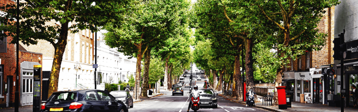 Managing Massaria Disease in Plane Trees for Wellcome Trust - Connick ...