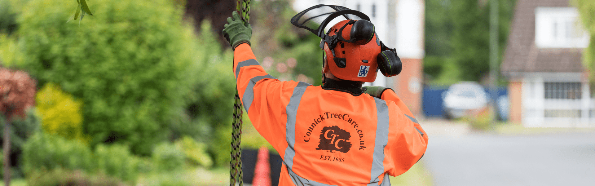 Connick Tree Care working in Hampshire