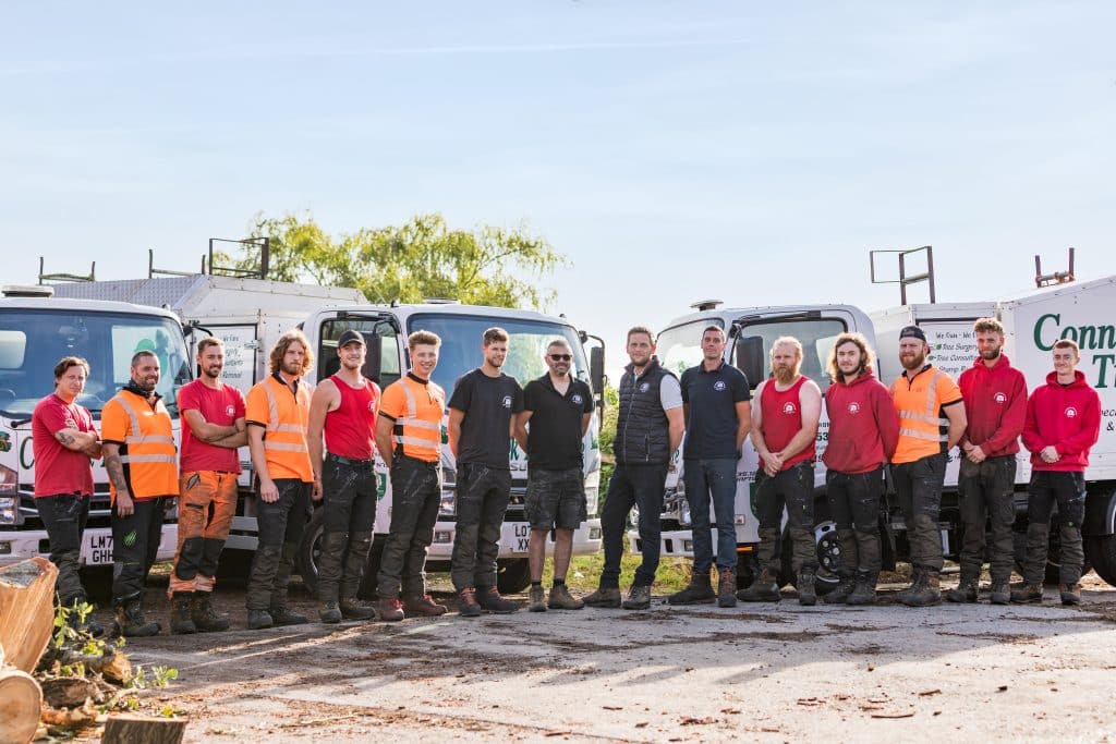 Connick Tree Care Brighton Team