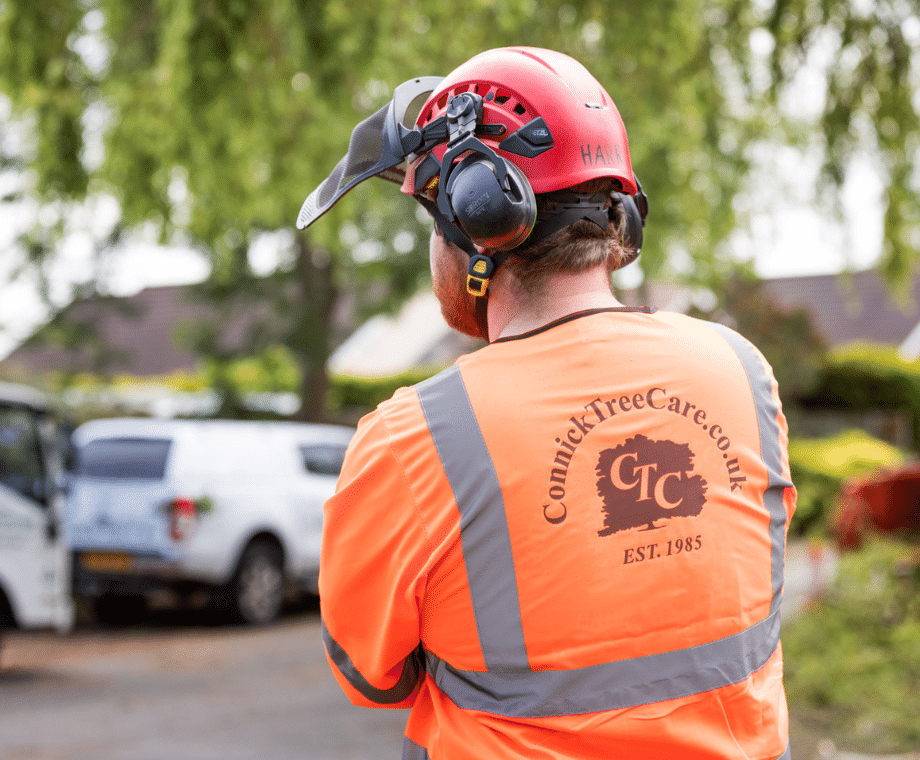 Connick Tree Care Arborist