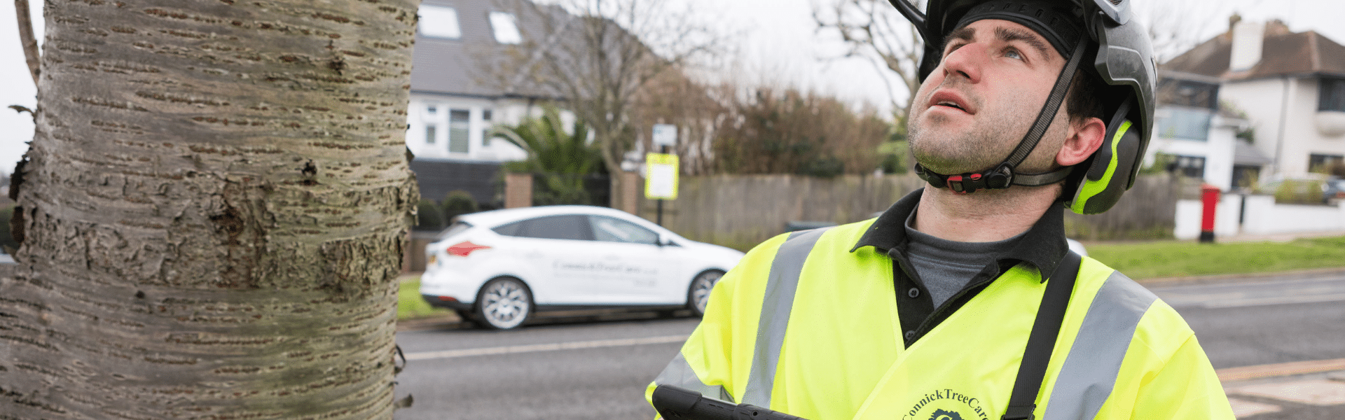 Arboricultural Consultant – South East England