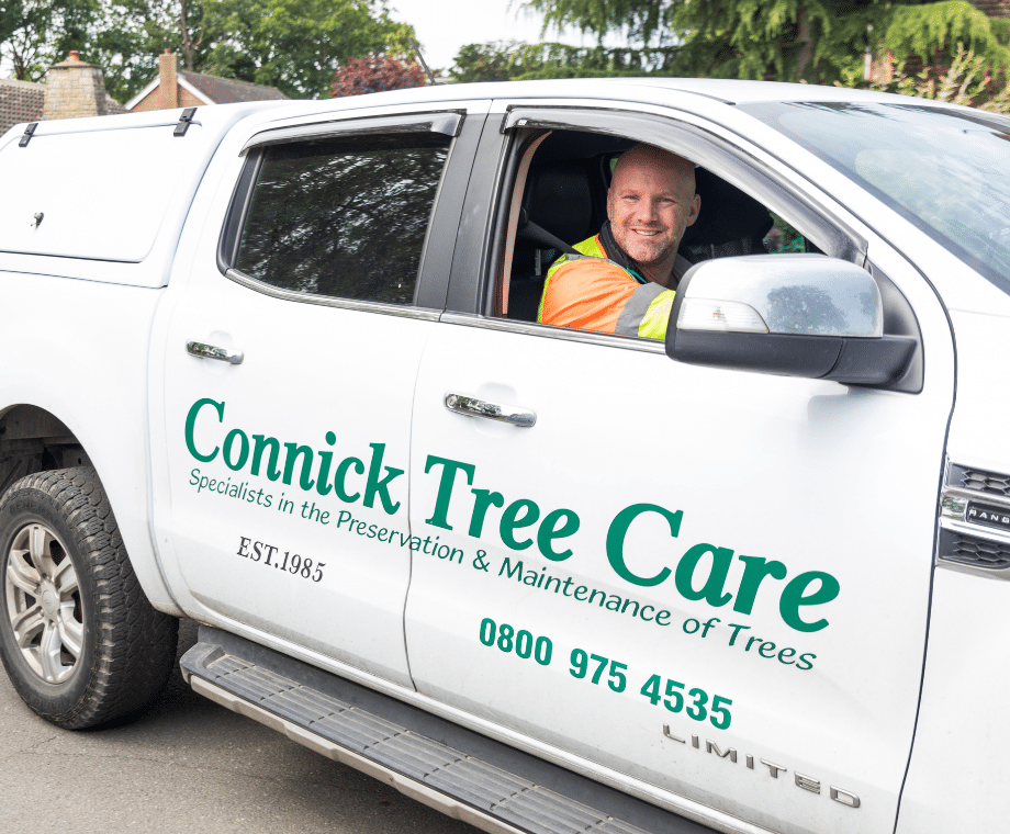 Estimator in Connick vehicle: Tree Surgery Costs in the UK: A Practical Guide