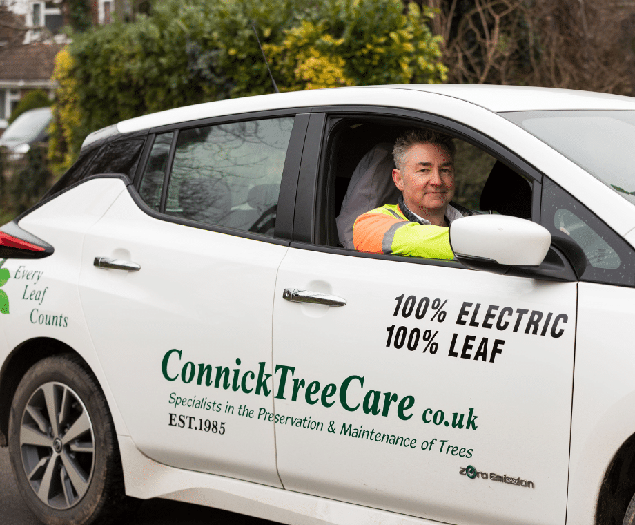 Arboricultural Consultant in Connick car. Tree Assessment, Tree Survey or Arboricultural Report What’s the Difference
