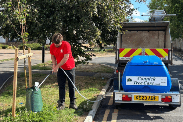 Connick Tree Care operative watering newly planted tree in commercial setting